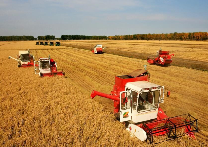 Crop Farming